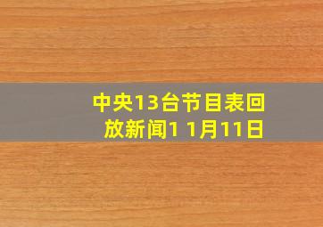 中央13台节目表回放新闻1 1月11日